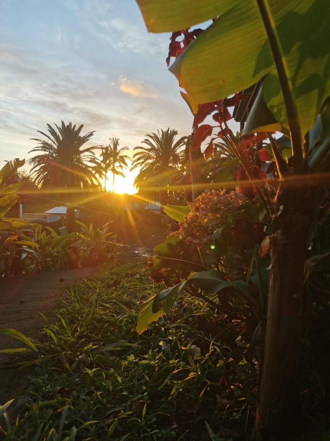 Hostal Tu'U Koihu Hanga Roa Esterno foto