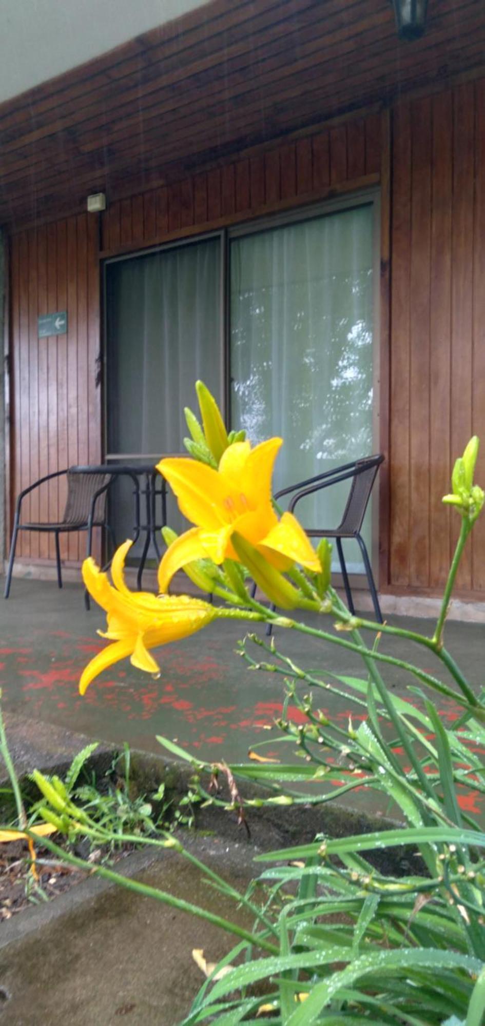 Hostal Tu'U Koihu Hanga Roa Esterno foto
