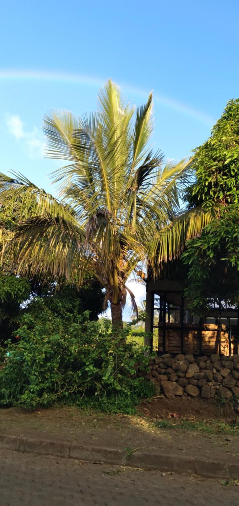 Hostal Tu'U Koihu Hanga Roa Esterno foto