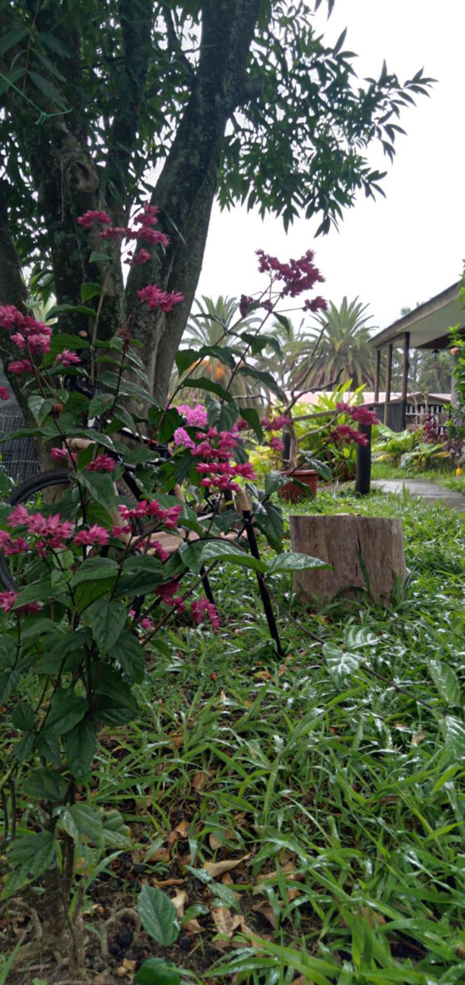 Hostal Tu'U Koihu Hanga Roa Esterno foto