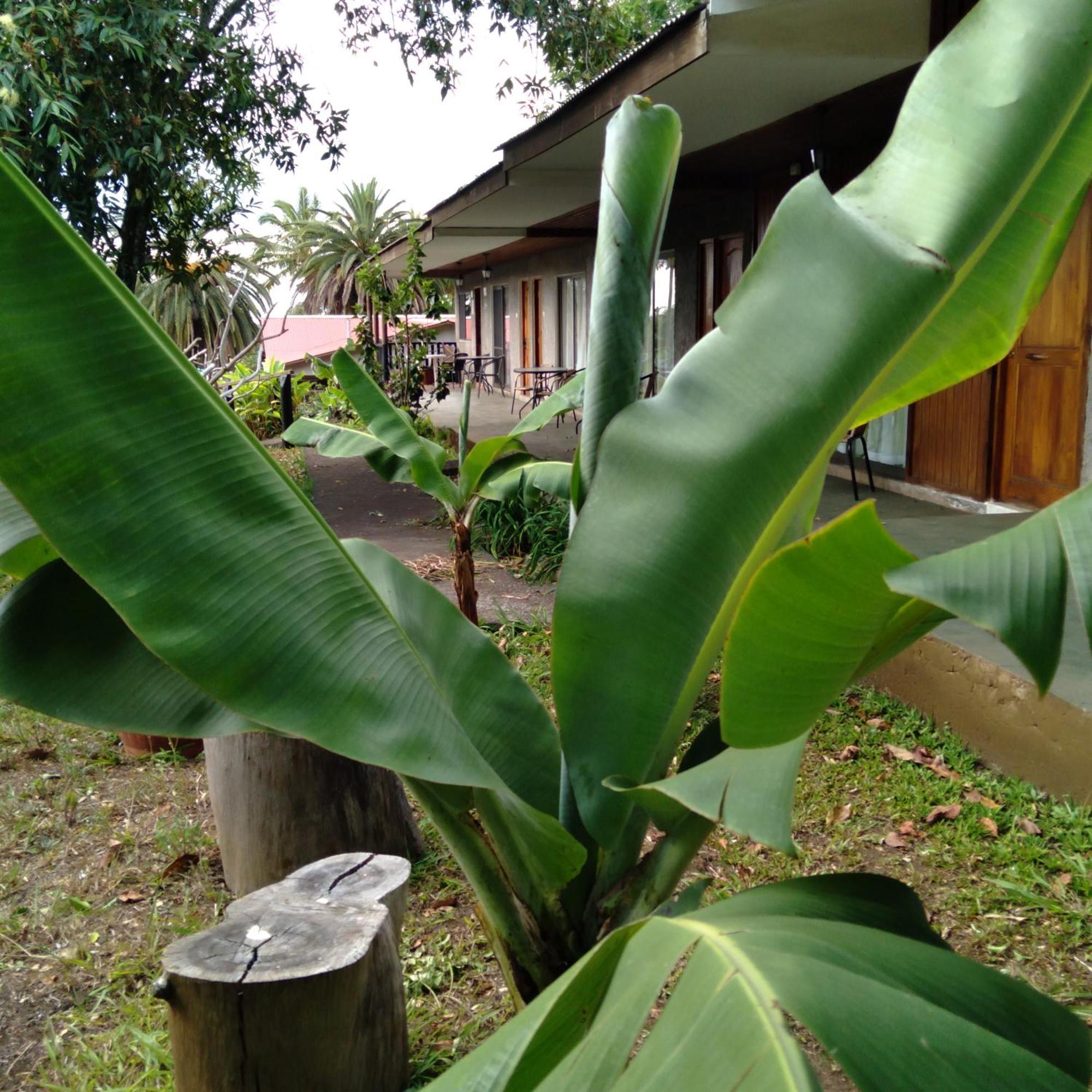 Hostal Tu'U Koihu Hanga Roa Esterno foto